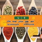 طرح لایه باز کارت ویزیت عطاری و گیاهان دارویی 005
